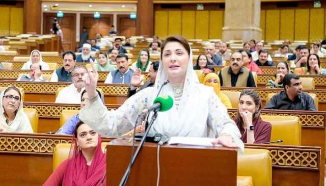 دسمبر تک 1 لاکھ نئے گھر بنا لیں گے: مریم نواز