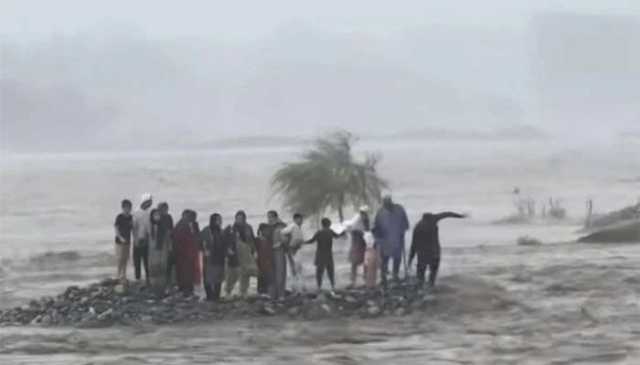 سانحہ دریائے سوات، ڈی جی ریسکیو خیبرپختونخوا انکوائری کمیٹی کے سامنے پیش