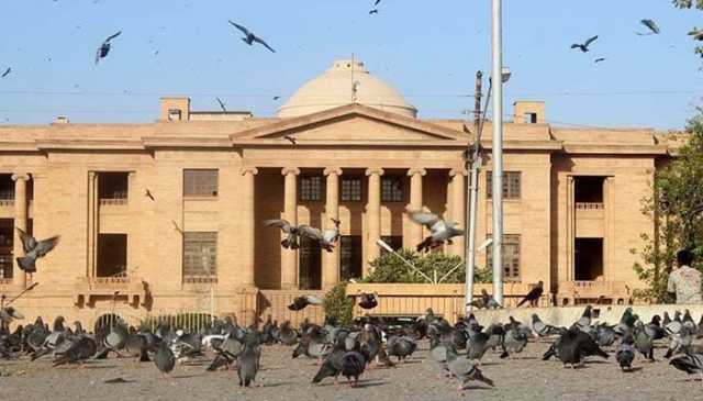 کراچی: لائن لاسز کی بنیاد پر لوڈشیڈنگ سندھ ہائیکورٹ میں چیلنج