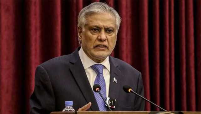 نواز شریف کی اڈیالہ جیل میں بانی پی ٹی آئی سے ملاقات کی باتیں قیاس آرائیاں ہیں، اسحاق ڈار