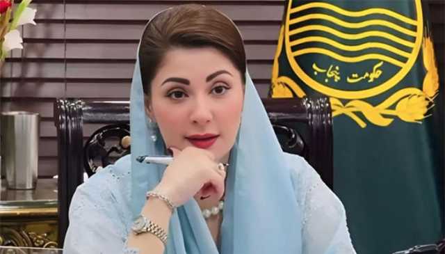 وزیر اعلیٰ مریم نواز نے محرم میں امن و امان، صفائی، خدمت کا نیا ریکارڈ بنایا ہے، ترجمان پنجاب حکومت