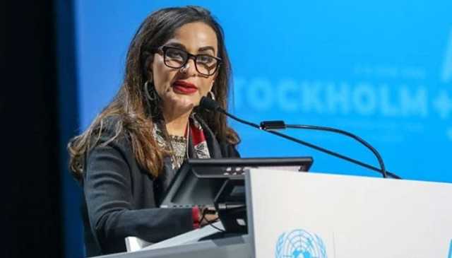 وفاقی بجٹ میں ماحولیاتی ایمرجنسی کو نظر انداز کر دیا گیا: شیری رحمان
