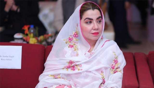 مسلم لیگ ن کا حصہ بننے کا فیصلہ کیا ہے، ثمر ہارون بلور