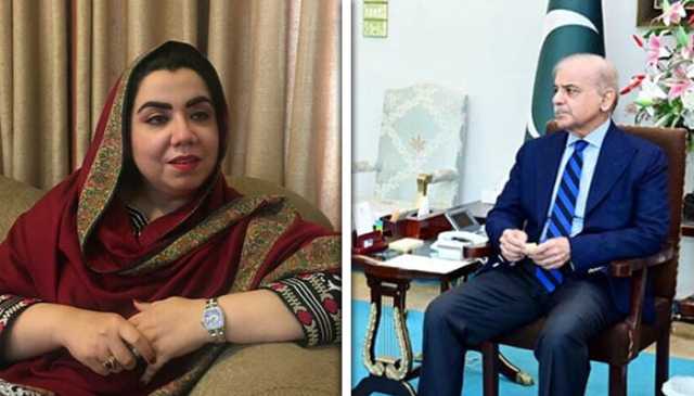 وزیراعظم سے ملاقات کے بعد ثمر بلور ن لیگ میں شامل