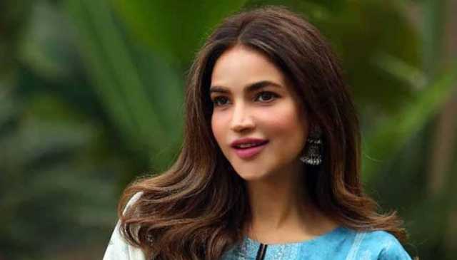 حمیرا اصغر کیس: کیمیکل، پوسٹ مارٹم رپورٹ میں کافی چیزیں واضح ہوجائیں گی، ڈی آئی جی ساؤتھ