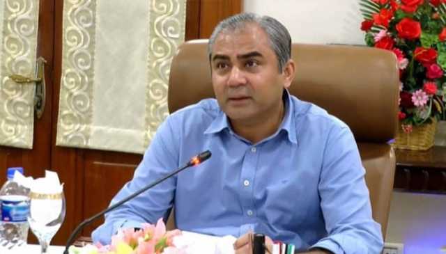 وزیرداخلہ محسن نقوی کی اماراتی ہم منصب سے ملاقات، سیکیورٹی تعاون پر تبادلہ خیال