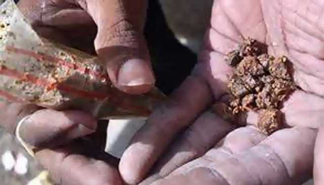 کراچی: پولیس اہلکاروں کو گٹکا، ماوا چھوڑنے کے لیے 10روز کی مہلت