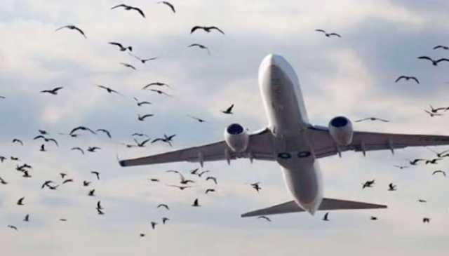 پنجاب: فضائی حدود میں مسافر طیاروں کے تحفظ کیلئے اہم فیصلہ