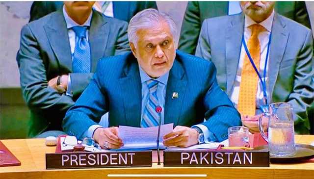 پاکستان مسئلہ فلسطین کیلئے اصولی موقف اور یکجہتی کے عزم کا اعادہ کرتا ہے، اسحاق ڈار