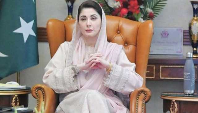 پنجاب: متاثرہ فصلوں اور لائیو اسٹاک کے نقصان کا ازالہ کرنے کا فیصلہ