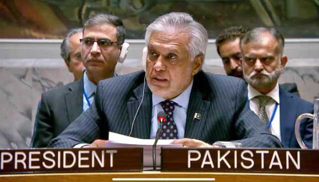 پاکستان او آئی سی کی شراکت داری کا حد درجے احترام کرتا ہے، اسحاق ڈار