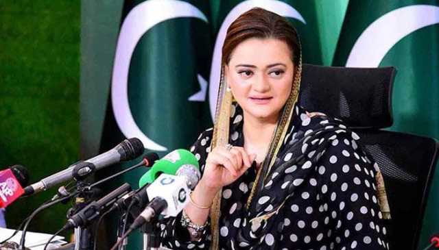 چیلوں اور کوؤں کے کتنے گھونسلے ہٹائے گئے؟ مریم اورنگزیب نے بتا دیا