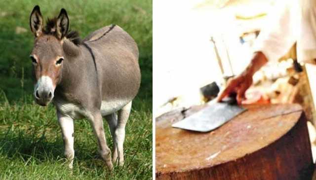 بٹگرام: گدھے کا گوشت فروخت کرنیوالے 2 افراد گرفتار