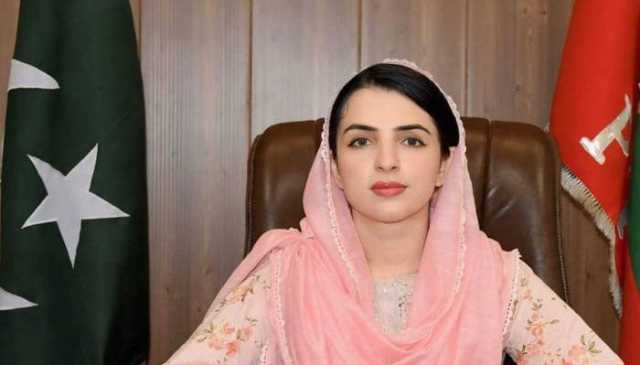 سینیٹ ضمنی الیکشن: حکومتی حمایت یافتہ آزاد امیدوار مشال یوسفزئی کامیاب