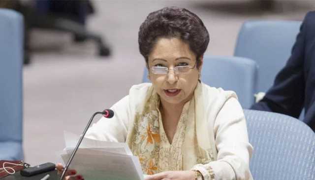 پاکستان نے ڈپلومیٹک کارڈ بہتر انداز میں کھیلا، ملیحہ لودھی