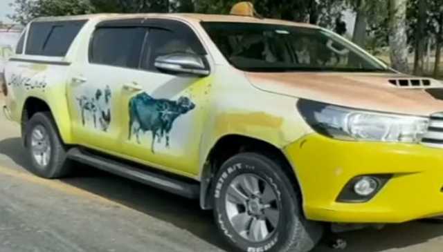 حافظ آباد: بارش اور سیلابی پانی سے شہریوں اور جانوروں میں بیماریاں پھیلنے لگیں
