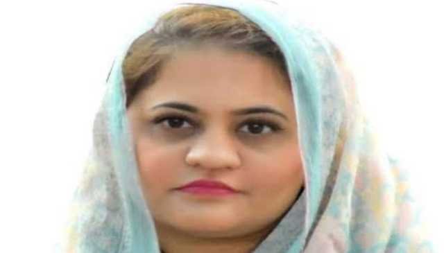 گورنر صاحب کی باتیں کروڑوں کی، لیکن دکان پکوڑوں کی بھی نہیں: سعدیہ جاوید