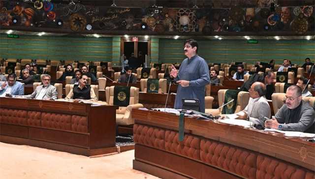 ڈمپر کی ٹکر سے بھائی، ہہن جاں بحق، معاوضے کا اعلان نہ کرنے پر سندھ اسمبلی میں گرما گرمی