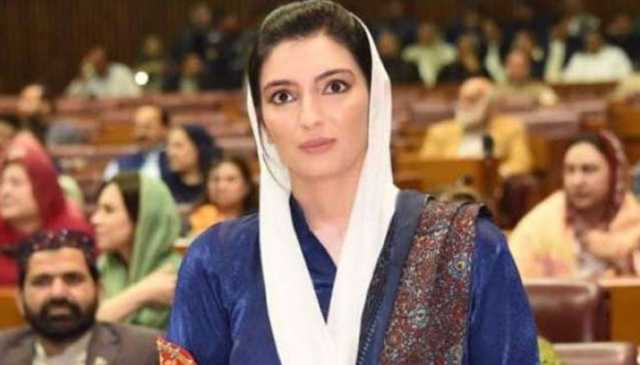 چھاتی کے سرطان کے خلاف مشترکہ کوششوں کی ضرورت ہے، آصفہ بھٹو