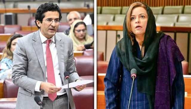 قومی اسمبلی کا اجلاس، پاکستان میں تیل و گیس کے ذخائر پر بحث