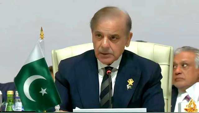 اسرائیل کو انسانیت کے خلاف جرائم پر جوابدہ کرنا ہوگا، وزیراعظم شہباز شریف
