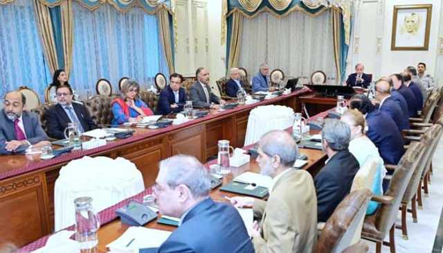 تمام صوبے و ادارے سیلاب سے نقصانات کا تفصیلی تخمینہ لگائیں: وزیرِ اعظم شہباز شریف