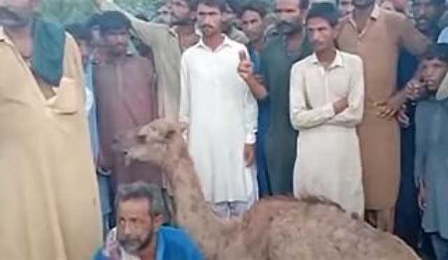 محسن نقوی کا اب وزیراعظم بننا نا ممکن ہو چکا، رانا ثناء اللّٰہ