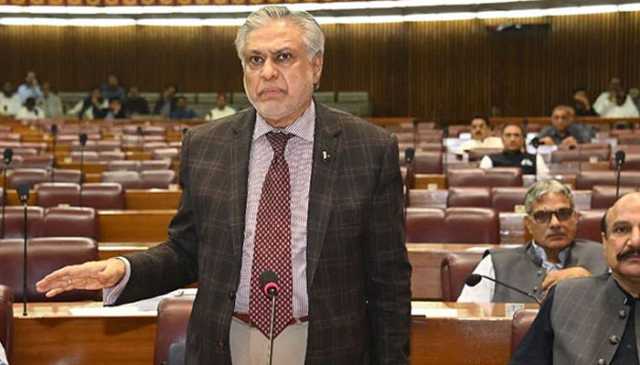 ٹرمپ نے جن 20 نکات کا اعلان کیا ہے وہ ہمارے نہیں ہیں: اسحاق ڈار