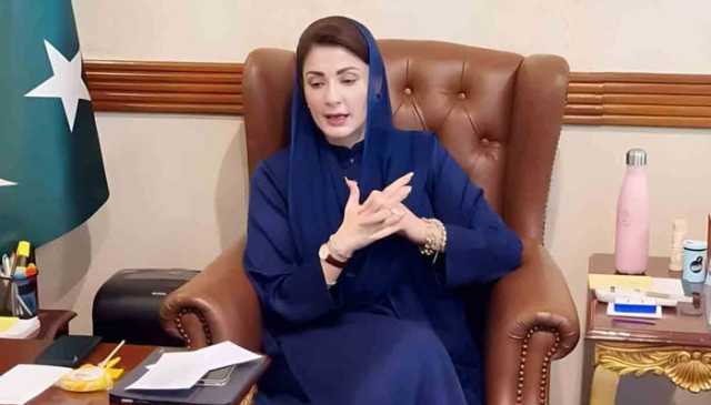 آوارہ کتوں کے کاٹنے سے شہریوں بالخصوص بچوں کا زخمی ہونا ناقابل برداشت ہے، مریم نواز