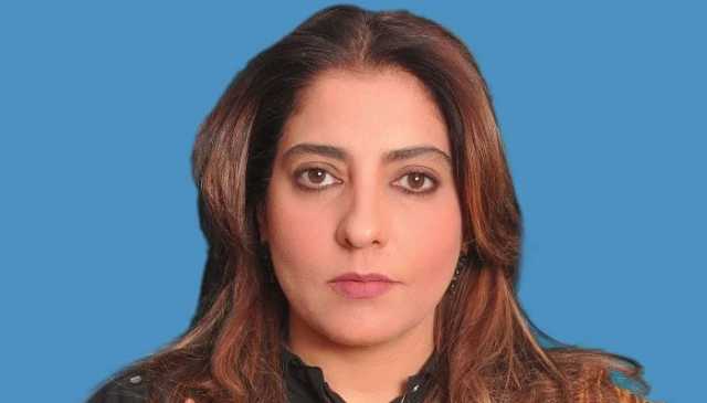 پنجاب حکومت کو شہباز شریف وزیراعظم کی کرسی پر اچھے نہیں لگتے: پلوشہ خان