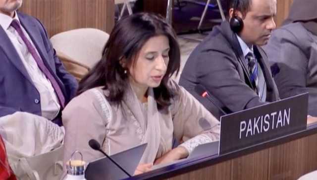 ڈیجیٹل دور میں گمراہ کن معلومات کا تدارک، یونیسکو نے پاکستانی تجویز منظور کر لی