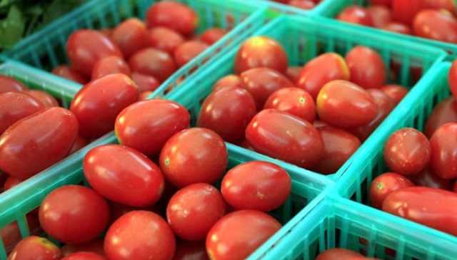 ٹماٹر عوام کی پہنچ سے دور، قیمت میں مزید اضافہ