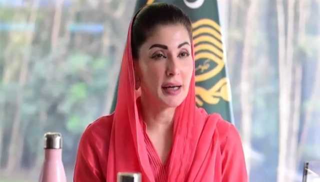 مریم نواز کی ای بزنس کیلئے 2 ہفتے کی ٹائم لائن مقرر کرنے کی ہدایت