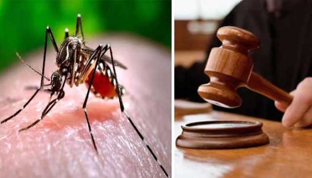 حیدر آباد میں ڈینگی سے ہلاک نوجوان کے والد عدالت پہنچ گئے