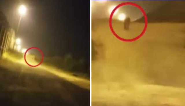 اسلام آباد ایئر پورٹ کار گو ایریا کے قریب تیندوا نکل آیا