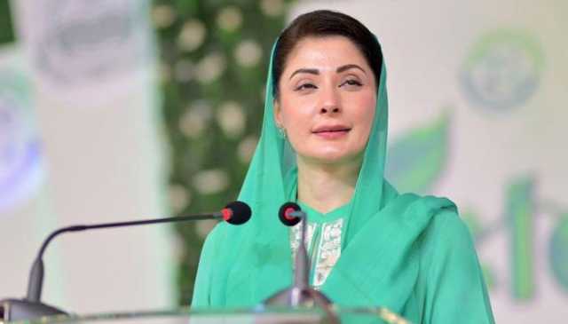 کوئی جتھہ ہتھیار اُٹھا کر آئے تو دین کی بدنامی ہوتی ہے، مریم نواز