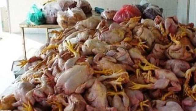 بہاولنگر: مردہ مرغیوں کا گوشت فروخت کرنے والے شخص کو قید و جرمانے کی سزا