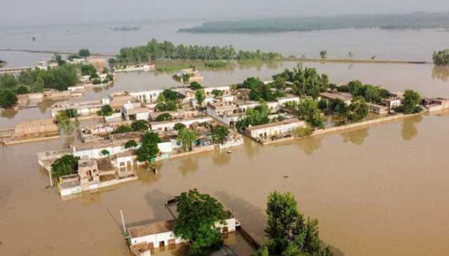 پاکستانی کسانوں کا جرمن کمپنیوں کیخلاف مقدمے کا اعلان