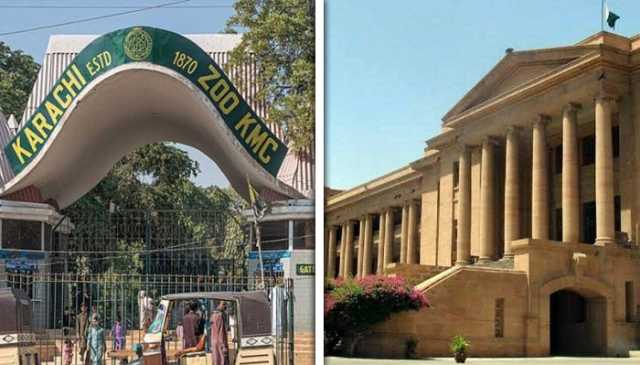 کراچی اور حیدرآباد میں بتدریج چڑیا گھر ختم کر کے قدرتی ماحول میں نیشنل پارک بنائیں: سندھ ہائی کورٹ