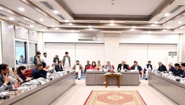 آئینی عدالت سے متعلق میثاقِ جمہوریت کی تجویز پر بانی پی ٹی آئی کے دستخط بھی موجود ہیں، اسحاق ڈار