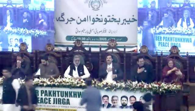 کے پی اسمبلی امن جرگہ، 15 نکات کا فائنل ڈرافٹ سامنے آ گیا