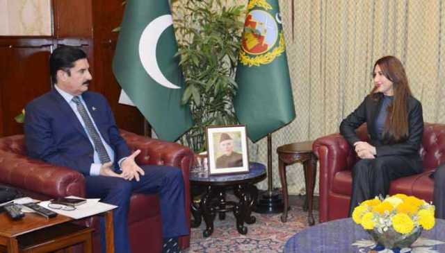 گورنر کے پی فیصل کریم کنڈی سے امریکی ناظم الامور نیٹلی بیکر کی ملاقات