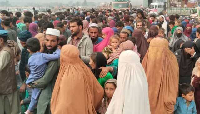 11 ہزار 600 مزید افغان مہاجرین کو افغانستان بھیج دیا گیا