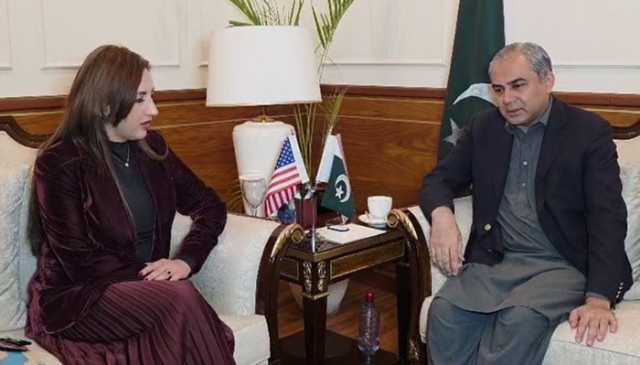 ‎دہشتگرد عدالت کو نشانہ بنانا چاہتا تھا، سیکیورٹی کی وجہ سے اندر نہ جا سکا: محسن نقوی