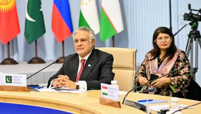 پائیدار ترقی کا انحصار امن اور استحکام پر ہے: اسحاق ڈار