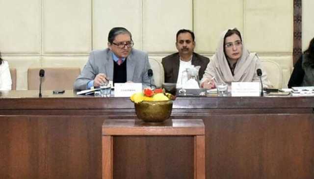 اسلامی بینکنگ کے نام پر زیادہ سود لیا جا رہا ہے: سلیم مانڈوی والا