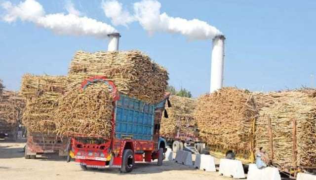 آئی ایم ایف نے شوگر ملز مالکان کو بے نقاب کر دیا: ممتاز چانگ