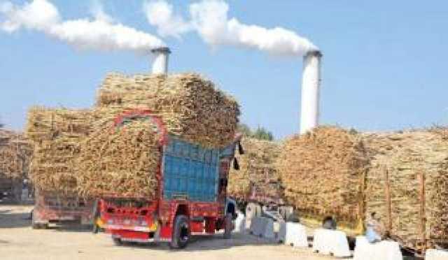 قومی و صوبائی اسمبلی کے 13 حلقوں میں انتخاب, نتائج آنے کا سلسلہ جاری