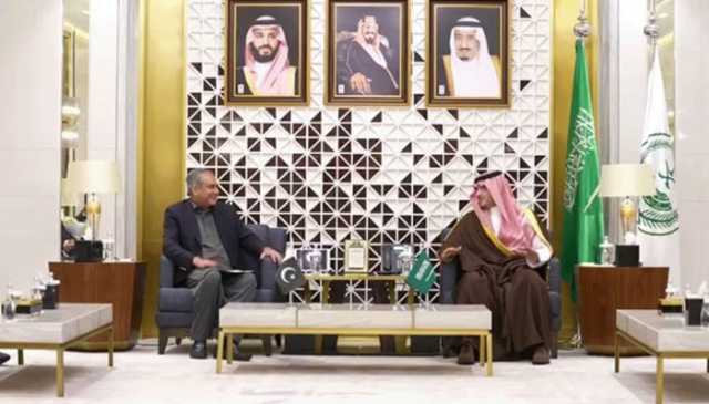 وزیر داخلہ کی سعودی ہم منصب سے ملاقات، ٹریننگ ایکسچینج پروگرام پر اتفاق