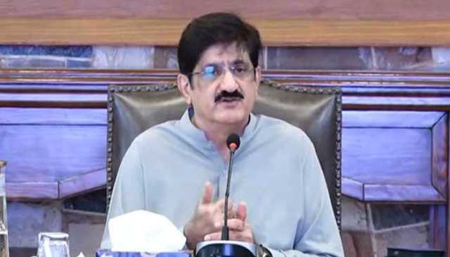 وکلاء کا کام دلائل دینا ہے، احتجاج کرنا سمجھ سے بالاتر ہے: مراد علی شاہ